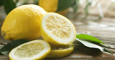 Limão – Citrus limon: Cultivo da Planta