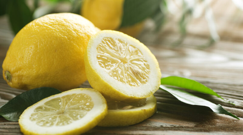 Limão – Citrus limon: Cultivo da Planta