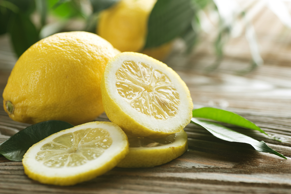 Limão – Citrus limon: Cultivo da Planta