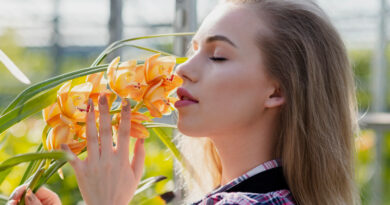 desenvolvimento do olfato 2