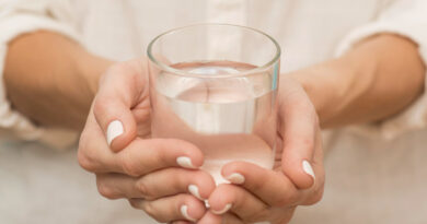 Purificadores Everest 3