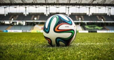 Confira os jogos da Copa do Mundo deste domingo